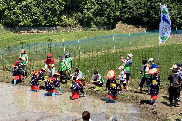  走井地区棚田ボランティア     